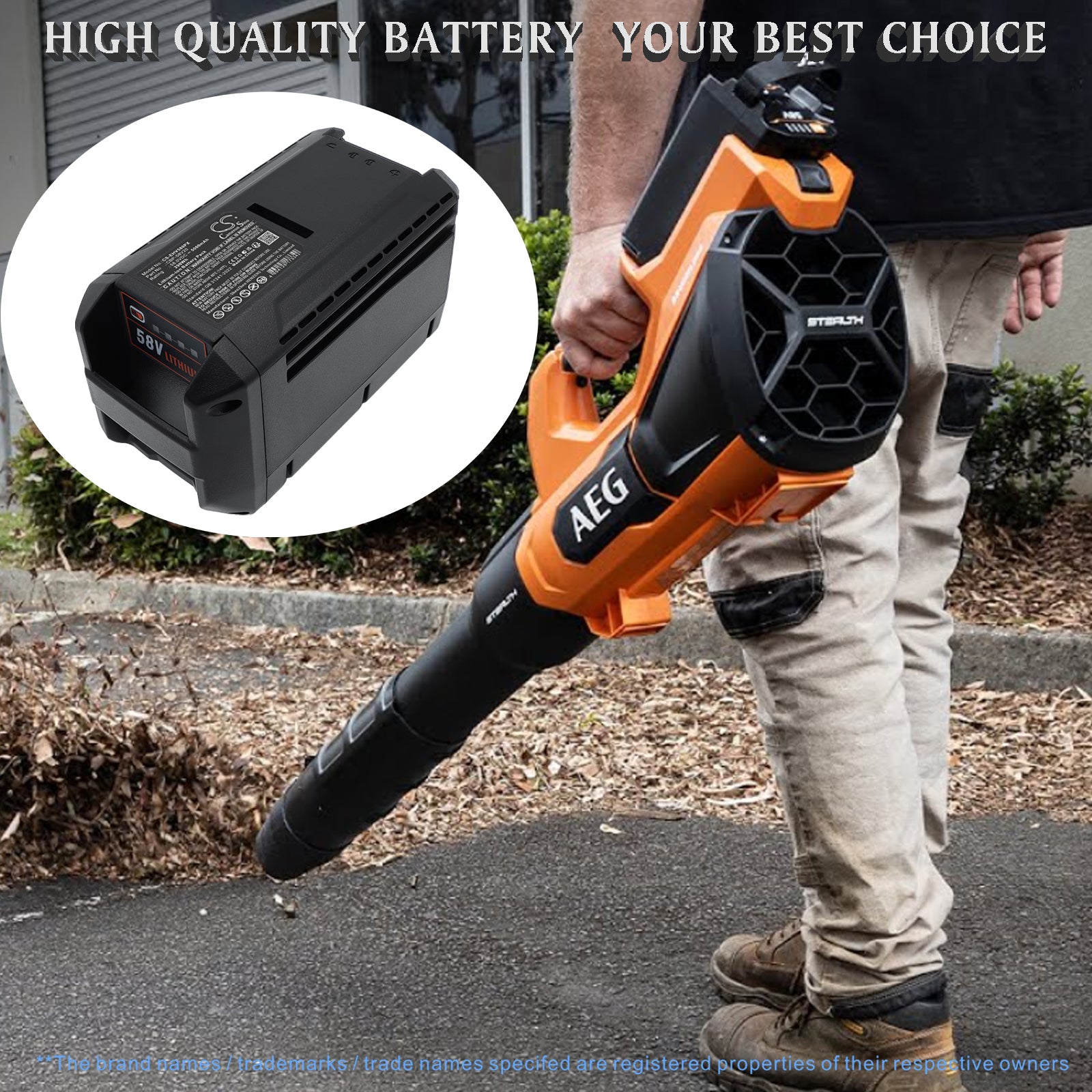 58V, Li-ion, 5000mAh, Battery fits AEG 58V Blower Cordless, 58V Brushcutter Cordless, 290Wh Gardening Tools Cameron Sino Technology Limited